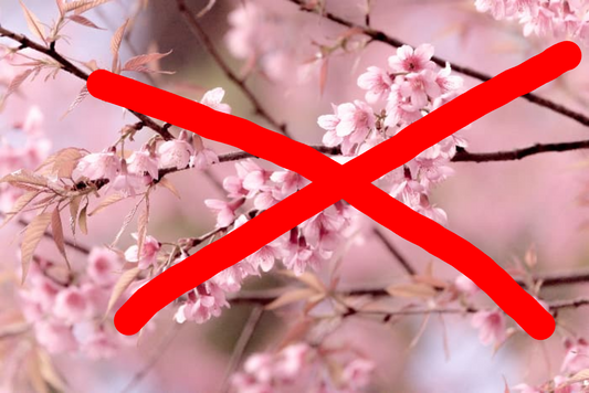 SOLD OUT: All Cherry Blossom-Themed Products