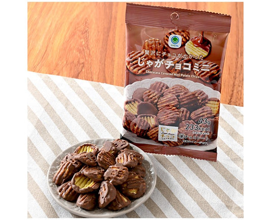 Family Mart Chocolate-Covered Mini Potato Chips